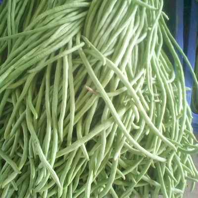 三重天 揭秘豇豆批發(fā)市場中的新鮮蔬菜流通法則