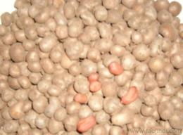 菏澤新鮮蔬菜批發(fā) 源頭把控品質(zhì)，保障低價貨源穩(wěn)定供應(yīng)