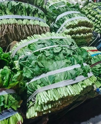 厚街蔬菜配送公司 打造新鮮蔬菜批發(fā)新標桿